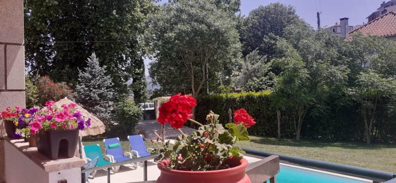 Villa Garden & Pool - Alojamentos Celorico De Basto Eksteriør bilde