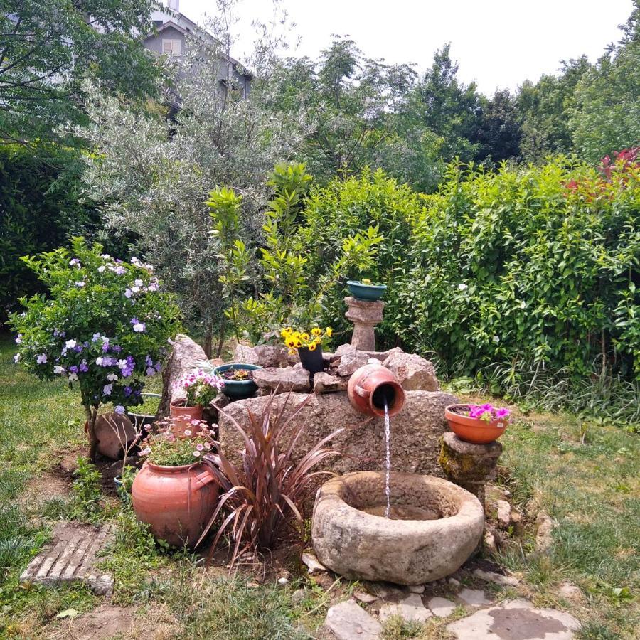 Villa Garden & Pool - Alojamentos Celorico De Basto Eksteriør bilde